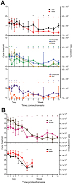 Thumbnail of Presence and stability of Ebola virus RNA in deceased cynomolgus macaques. Swab (A) and tissue (B) specimen samples were obtained at the indicated time points, and viral RNA was isolated and used in a 1-step quantitative reverse transcription PCR with a primer/probe set specific for the nucleoprotein gene and standards consisting of known nucleoprotein gene copy numbers. Line plots show means of positive samples from 5 animals up to the 7 day time point and from 3 animals thereafter