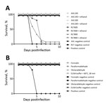 Thumbnail of Ebola virus inactivation results as tested in BALB/c mouse model. A) Survival in animal groups tested with samples inactivated by guanidinium isothiocyanate buffers. AVL140, 140 µL Buffer AVL (QIAGEN, Valencia, CA, USA) + 560 µL sample; AVL100, 100 µL Buffer AVL + 600 µL sample; RLT600, 600 µL Buffer RLT (QIAGEN) treatment of cells; RLT800, 800 µL Buffer RLT treatment of cells; + ethanol, after a Buffer AVL or Buffer RLT inactivation contact time of 10 min, addition of 100% or 70% e