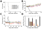 Thumbnail of Evaluation of the effects of suboptimal storage of VSVΔG/EBOVGPC in guinea pigs. A) Survival rates. B) Percentage weight loss. Values &gt;100% indicate weight gain. C) Body temperatures. D) Viral titers. In A, B, and C, n = 6 animals; in D, n = 3 animals. Survival analysis was conducted using a log-rank Mantel-cox test (*, p&lt;0.0001). Viral loads in tissues were compared with VSVΔG/ANDVGPC controls using a 2-way analysis of variance (†, p&lt;0.0001). Error bars indicate SEM. FT, f