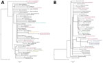 Single-nucleotide polymorphism phylogenetic trees for highly pathogenic avian influenza A(H5N1) clade 2.3.4.4b virus in mammals and wild birds. A) Genotype B1.2. Data from red fox are shown in red, raccoon in teal, coyote in orange, and Virginia opossum in gold. B) Genotype B3.2. Data from red fox are shown in red, fisher in purple, bobcat in green, and skunk in blue. Trees are rooted to the reference sequence A/Fancy_Ck/NL/FAV33/2021. WB, wild bird. Scale bars indicate nucleotide substitutions per site.