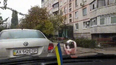 b.....h - #gif #suprise