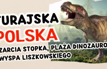 Jak wyglądała Polska 190 mln lat temu? Plaża dinozaurów i Wyspa Liszkowskiego