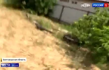 Rosyjski dziennikarz pokazuje na sobie jak działa rosyjska mina skacząca POM-3.