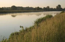 Park narodowy w Dolinie Dolnej Odry ma wspierać turystykę i ochronę środowiska