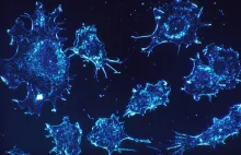 Nanoroboty zdolne do zabijania komórek nowotworowych