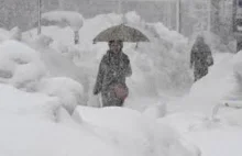 Powerful Snowfalls Hit Germany