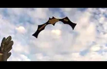 BATMAN boomerang