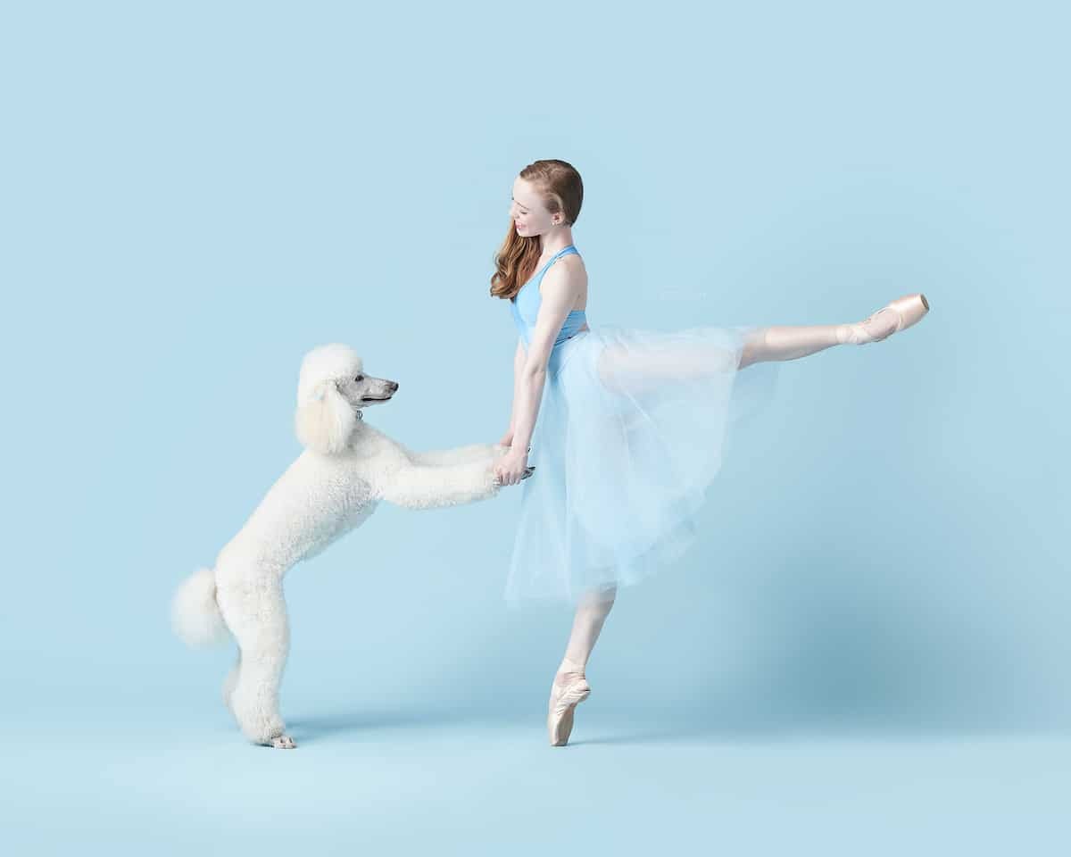 Kelly Pratt Kreidich and Ian Kreidich’s “Dancers & Dogs” pairs professional dancers with their charming pooches.
Adorable Photos of Dancers and Their Dogs