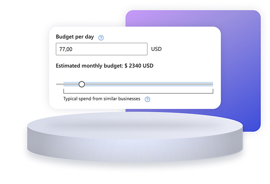 View of the budgeting system.