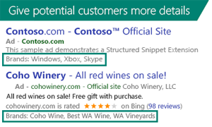 Screenshot showing Structured Snippet Extensions displayed in search ads.