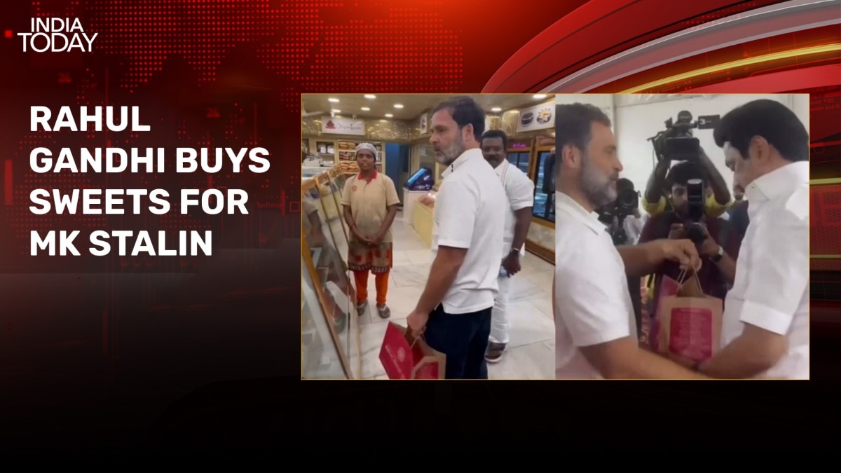 Video: Rahul Gandhi buys Mysore Pak for ‘brother’ MK Stalin in Tamil Nadu