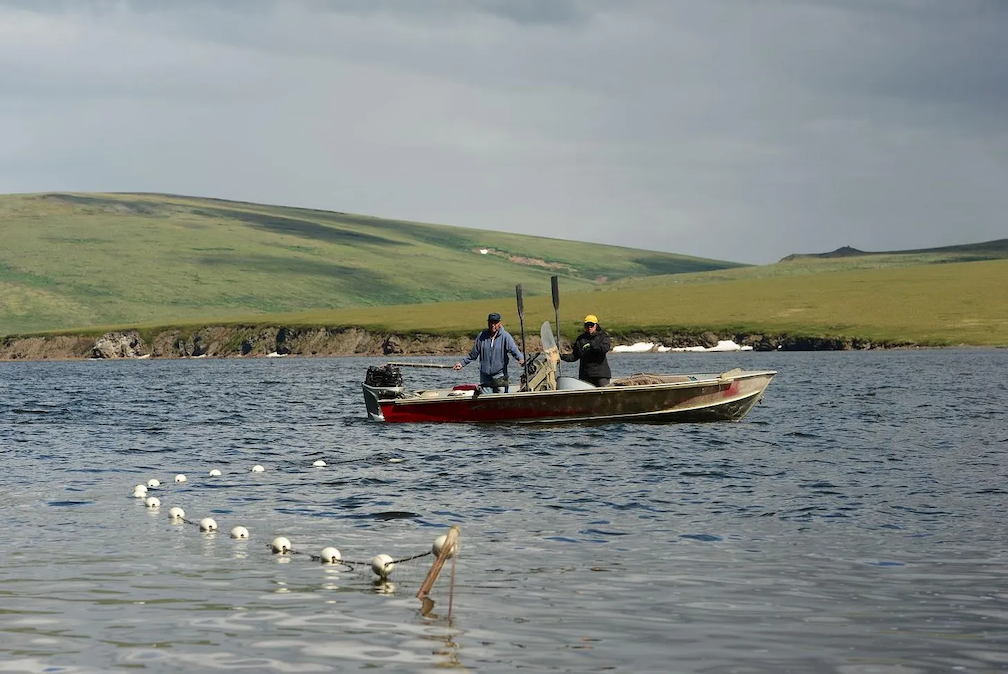 Sylvester Ayek and his daughter Kimberly set their gill net in the Tuksuk Channel. (Photo by Berett Wilber for Northern Journal)