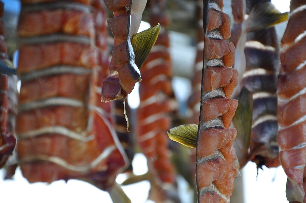 Strips of dried salmon are seen on June 25, 2009. (Photo by A.R.Nanouk/U.S. Fish and WIldlife Service)