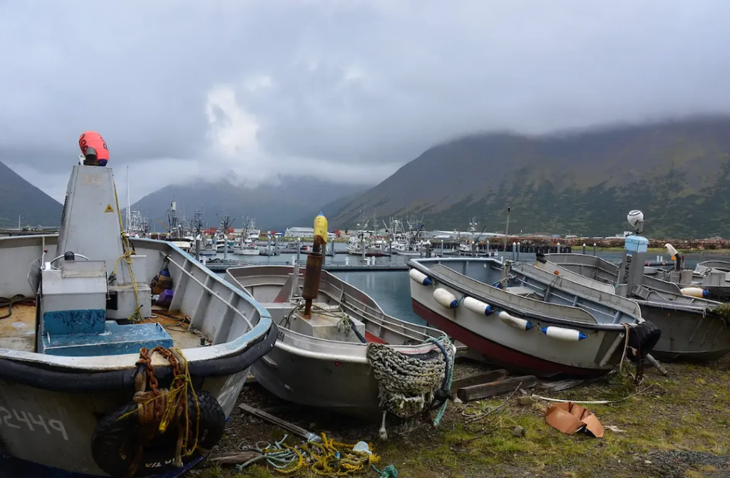 Skiffs sit on shore in the Southwest Alaska fishing town of King Cove. (Photo by James Brooks via Flickr under Creative Commons license)