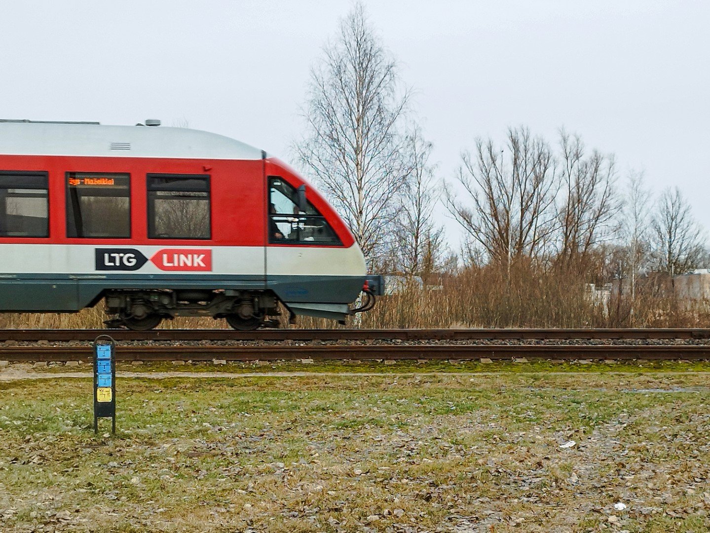 У президентского дворца пройдет пикет по поводу проекта Rail Baltica