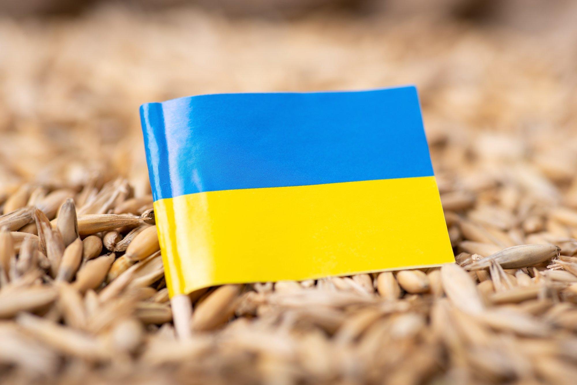 Литовский морской кластер предлагает сплавлять украинское зерно по Неману