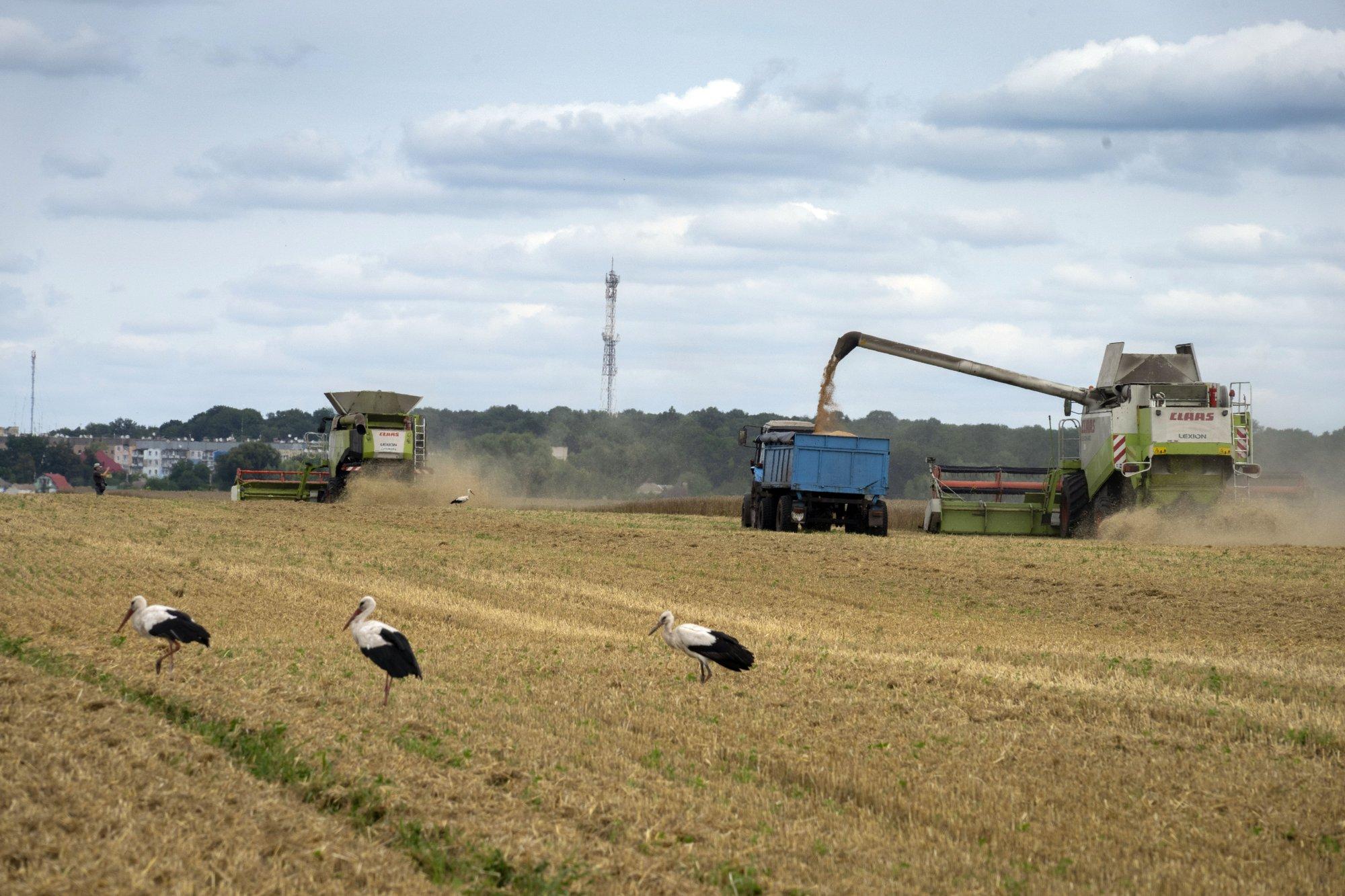 Министр: украинское зерно не вызовет проблем в Литве