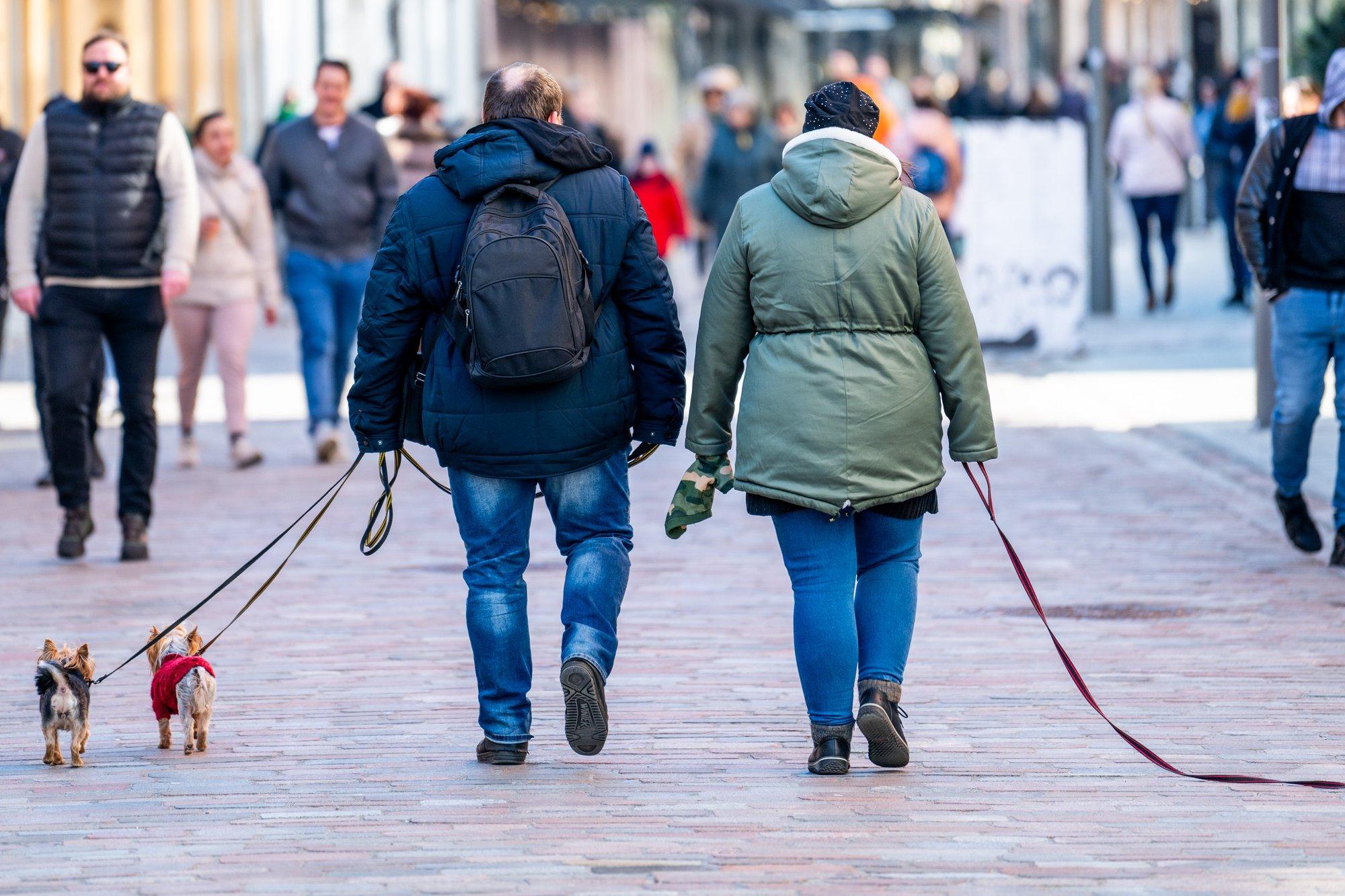 Augintinis namuose – ir džiaugsmas, ir atsakomybė: įvardijo dažniausiai šeimininkų daromas klaidas