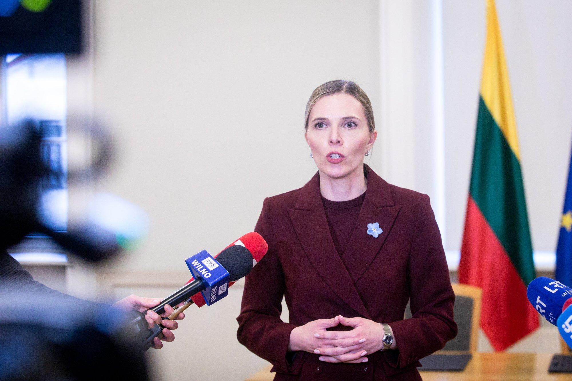 Глава МВД Литвы: необходимо усилить криминальную разведку