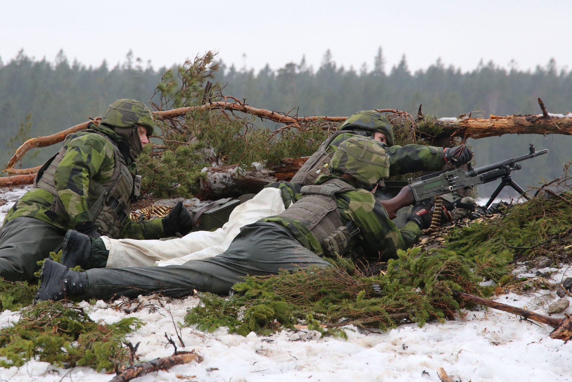 Главы гражданской и военной обороны Швеции призвали население готовиться к войне. Кого они боятся?