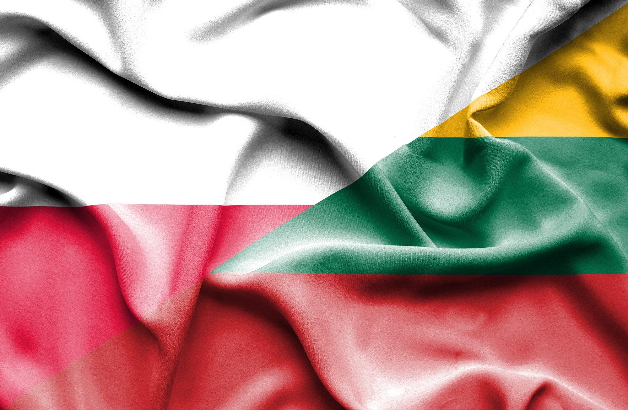 Сотрудничество между Литвой и Польшей в области обороны и энергетики не ускользает от кремлевской пропаганды