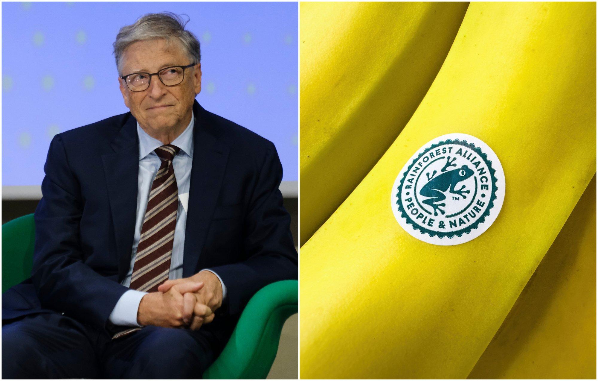 Ar Gatesui teko keisti logotipą, nes senąjį „užboikotavo pasaulis“ ir kuo čia dėtas varlės ženklas ant maisto produktų?