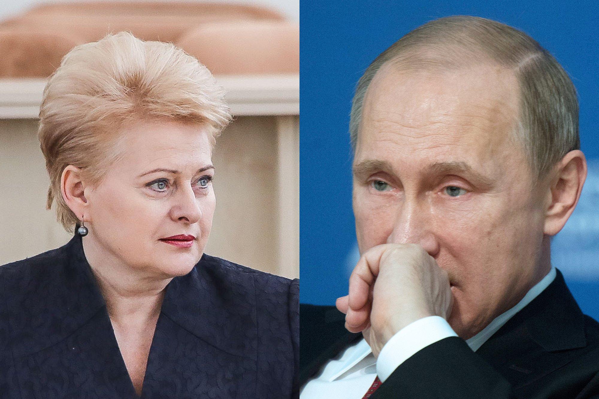 Mniejszości narodowe na Litwie ocenili Putina i Grybauskaitė, 25 rocznica międzynarodowego uznania Republiki Litewskiej, Polska dąży do RB ONZ