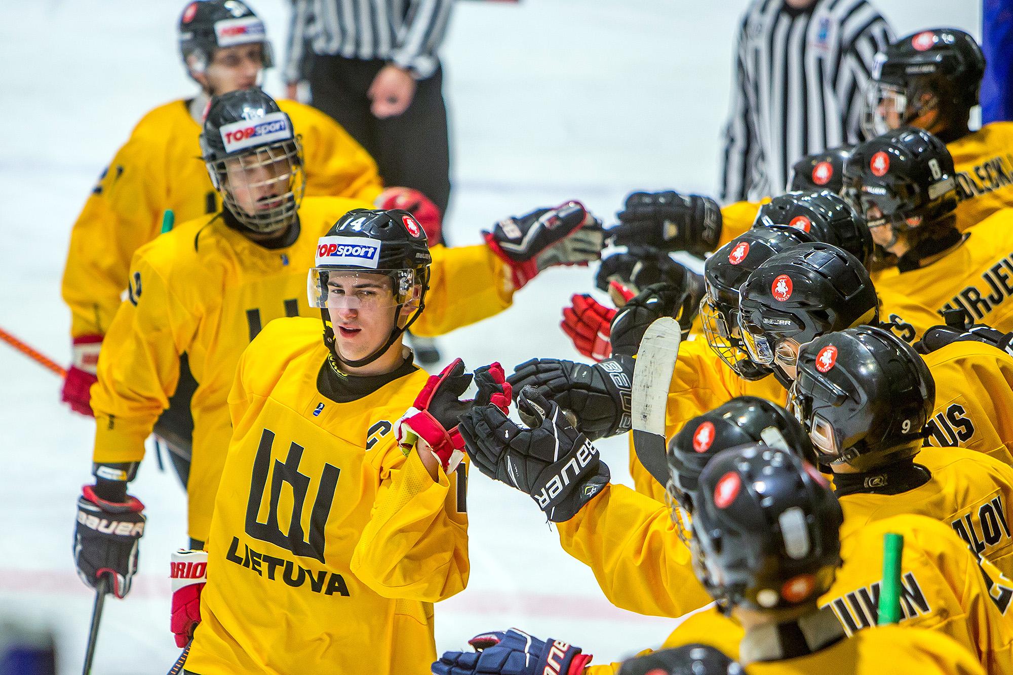 Hockey Lietuva aims to hold world championship in Vilnius