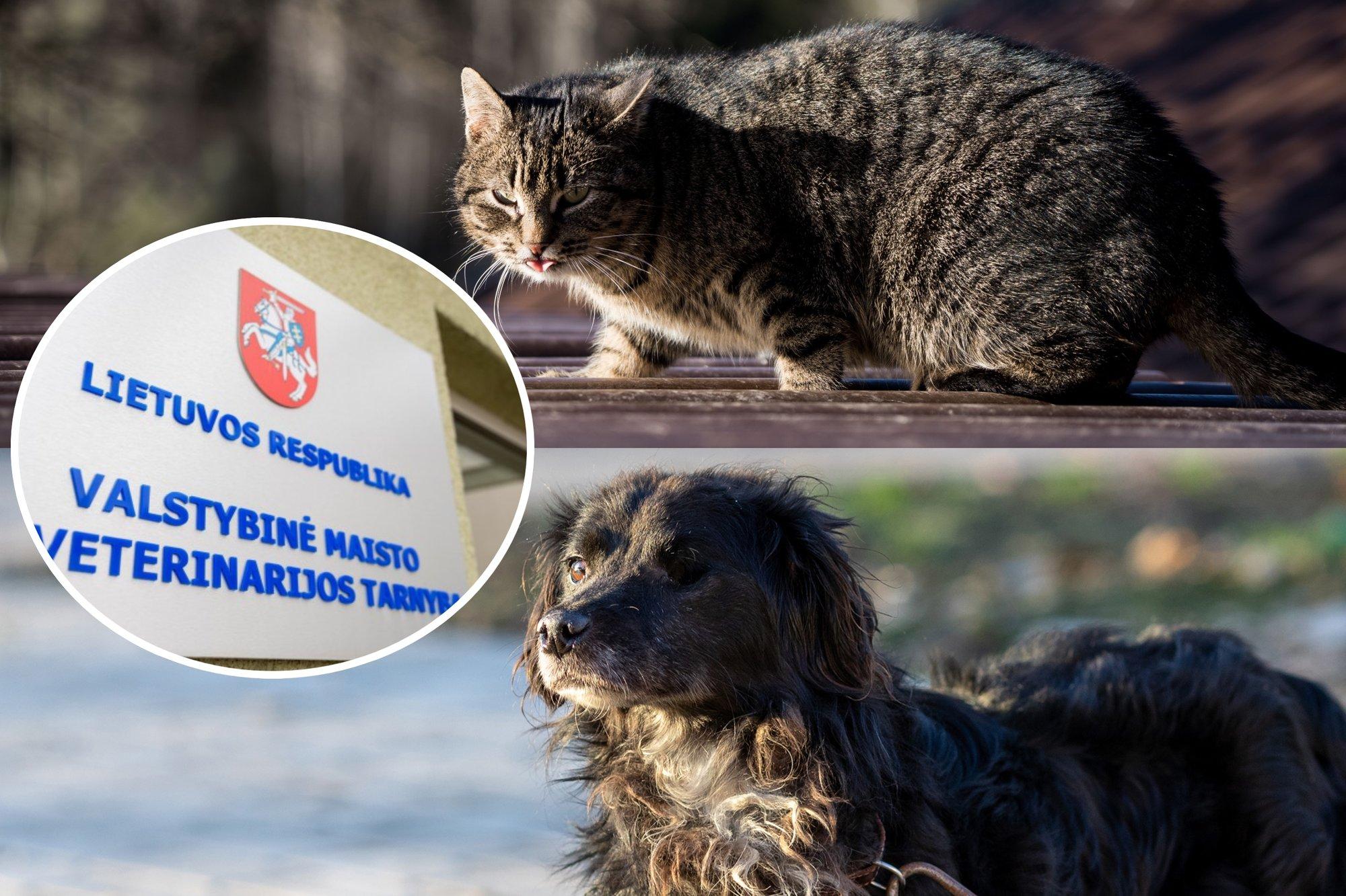 Konfiskavo nelegaliai veisiamus 19 šunų ir 4 kates: guolius atstojo padangos, pašarą – surūgusi košė