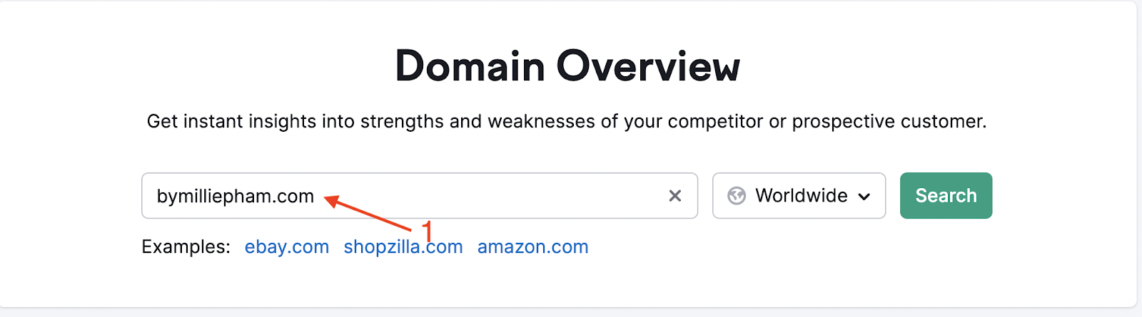 "Domain Overview" feature in Semrush