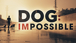 Dog Impossible