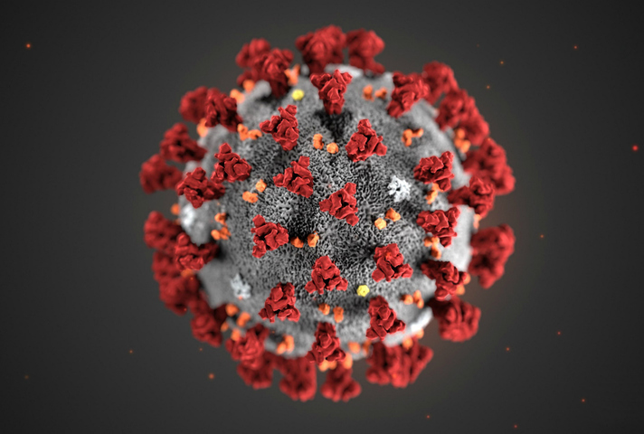 Coronavirus