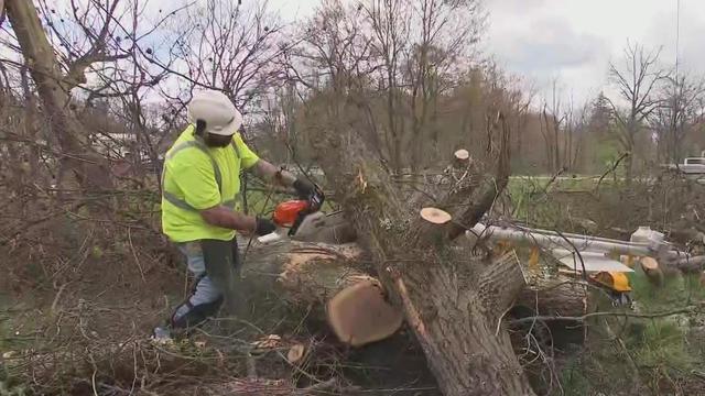 saxonburg-storm-clean-up.jpg 