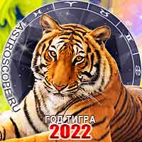   2022   