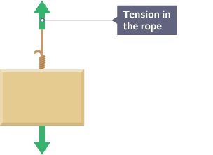 A box hangs from a rope. Two arrows which are equal in size act upwards and downwards from the top and bottom of the rope.