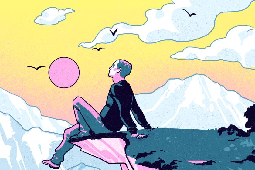 An illustration of a human looking out towards a sunsetting, mountainous landscape.