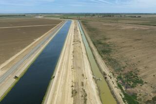 Firebaugh, CA - June 03: The Delta-Mendota Canal, left, and a parallel canal under the Panoche Water District's control, right, on Friday, June 3, 2022 in Firebaugh, CA. In April the U.S. Attorney's office charged the head of the Panoche Water District with stealing 25 million dollars worth of water out of the Delta Mendota Canal exploiting a leak in the canal where he engineered a way to steal water from the federal Central Valley Project. (Brian van der Brug / Los Angeles Times)