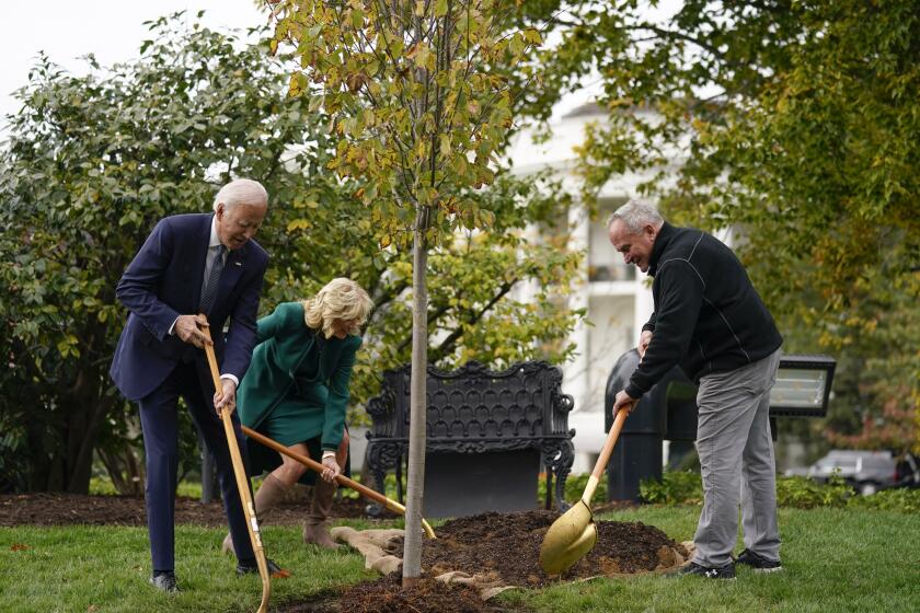 President Joe Biden, first lady Jill Biden and Dale Haney, the chief White House groundskeeper, right, participate in a tree planting ceremony on the South Lawn of the White House, Monday, Oct. 24, 2022, in Washington. As of this month, Haney has tended the lawns and gardens of the White House for 50 years. (AP Photo/Evan Vucci)