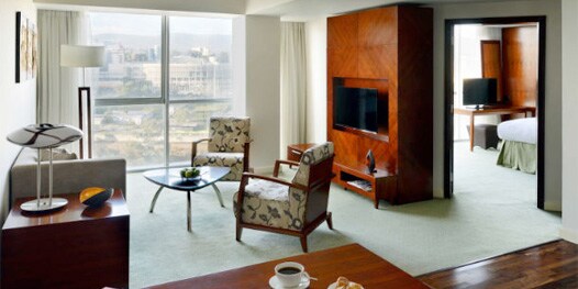 Apartment with chairs, fireplace and city view