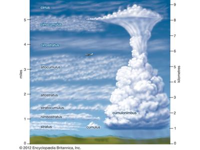 ten types of clouds and their elevation: cirrus, cirrocumulus, cirrostratus, altocumulus, altostratus, nimbostratus, stratocumulus, stratus, cumulus, cumulonimbus