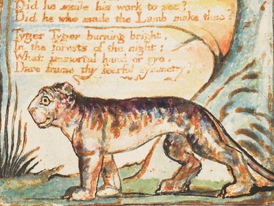 "The Tyger" from the combined volume of the Songs of Innocence and of Experience by William Blake, ca. 1825; relief etching printed in orange-brown ink and hand-colored with watercolor and gold.(poems, poetry)