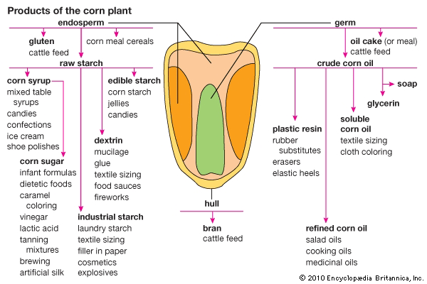 corn products