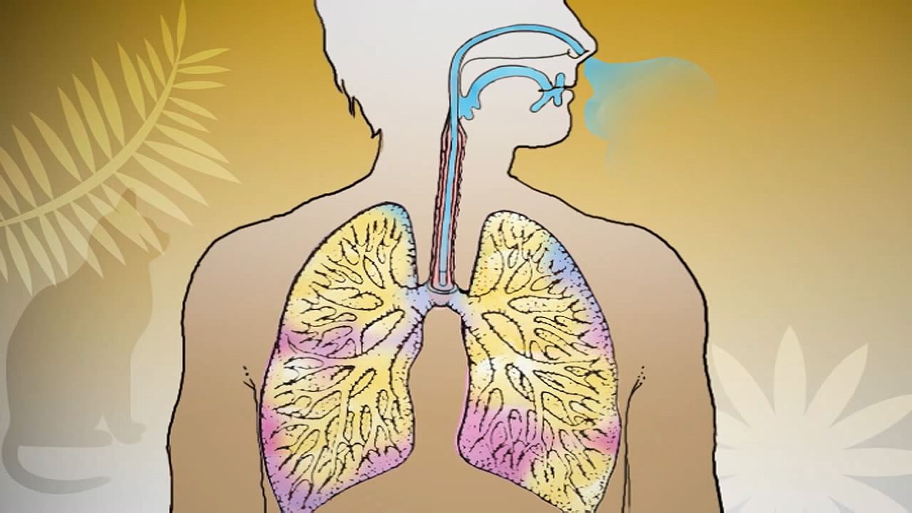 Know about asthma, what triggers it, and ways to manage it