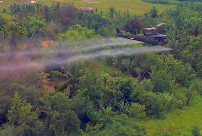 U.S. wartime use of defoliant in Vietnam