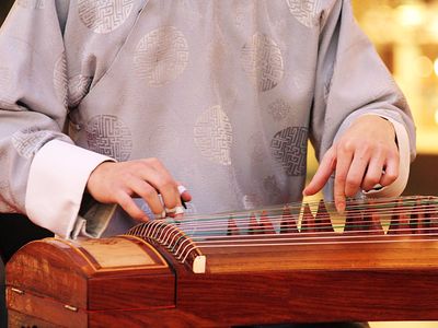 Koto. Closeup of musician playing a wooden koto (musical instruments, stringed instrument, Japanese, plucked zither)