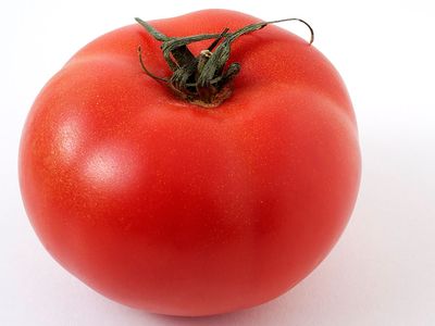 Fruit. Tomato. Solanum lycopersicum.