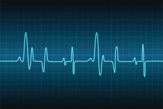 heart rate monitor output