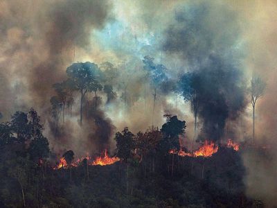 A handout photo made available by Greenpeace Brazil showing smoke rising from the fire at the Amazon forest in Novo Progresso in the state of Para, Brazil, August 23, 2019.