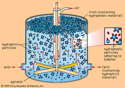 Schematic diagram of a flotation separation cell.