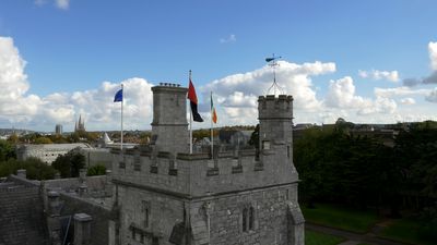 What is the autism studies program at University College Cork?